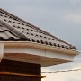 IMG_0630_1